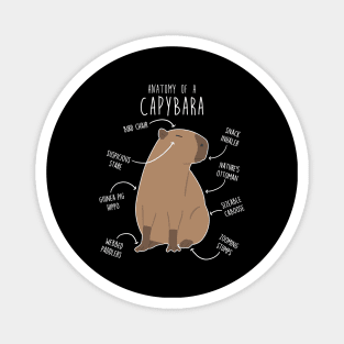 Capybara Anatomy Magnet